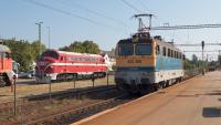 MÁV M61.001 NOHAB Diesellokomotive Balatonfüred V43 433 305