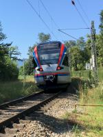 BRB Bayerische Regiobahn ET 131 bei Freilassing Triebzug